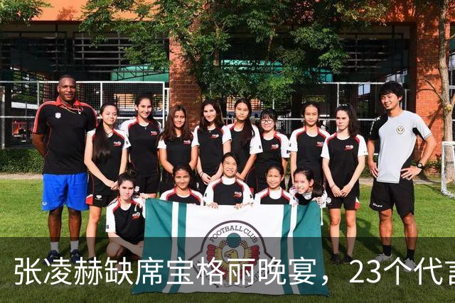 张凌赫缺席宝格丽晚宴，23个代言年入4.7亿，品牌待遇引热议